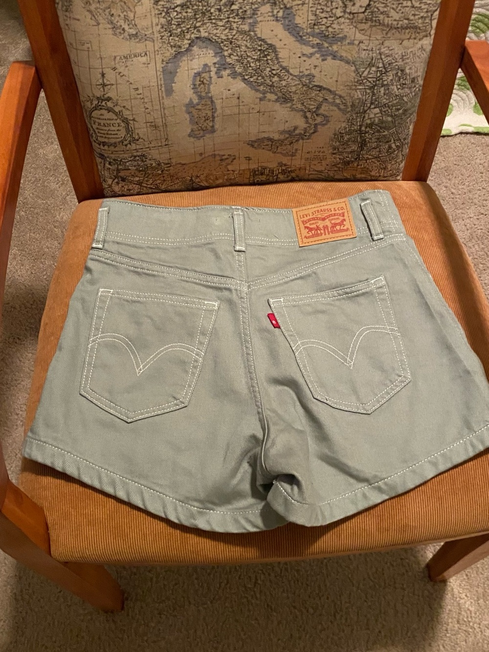 Levi's Light Sage Green High-Rise Denim Shorts — Women's